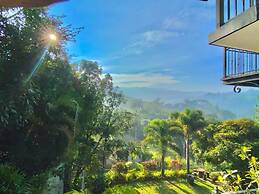 Villa Shungite