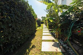 BEGONVİL GÜMÜŞLÜK