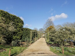 Oak