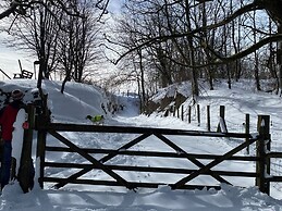 Woodland View