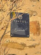 FİNTOZ BUTİKA