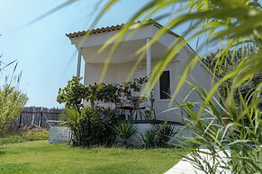 lilium rooms