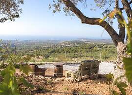 Villa in Sfakaki With Private Pool & Beach Access