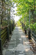 Baltic Forest