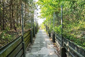 Baltic Forest