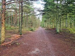 5 Star Holiday Home in Albaek