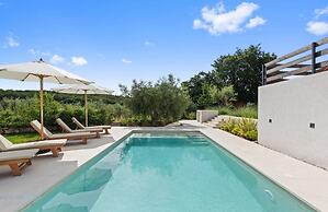 Villa in Vintijan With Private Pool