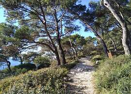 2 Bedroom Charming Apartment in Pula
