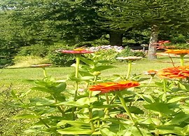 Hillside Home in Marliana