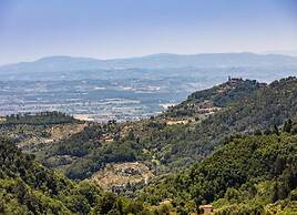 Hillside Home in Marliana