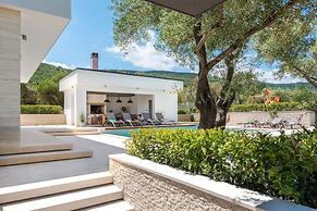Luxurious Villa in Drenje