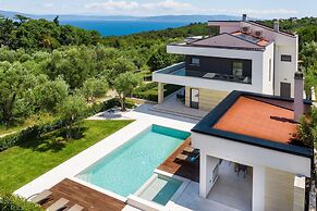Luxurious Villa in Drenje