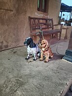 Shiva kashi Home stay