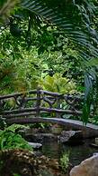 Lush Inn Phuket