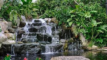 Lush Inn Phuket