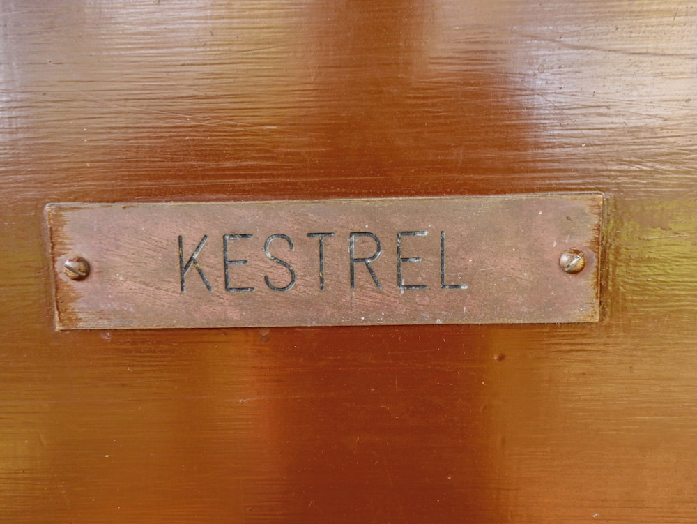 Kestrel