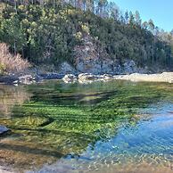 Carolina Leone