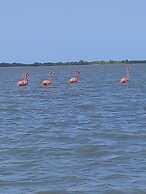 Coccoloba Beach Hotel