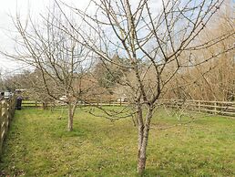 Bell Tent 1