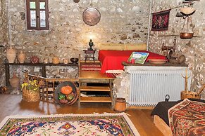 260m2 Unique Mountain House in Lilea Parnasos