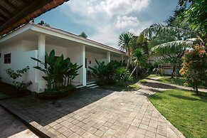 Zena Surf Suite