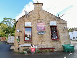The Museum