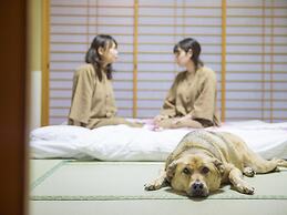 Wan Wan Paradise Matsusaka