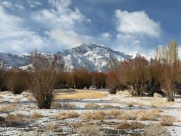 The Postcard in The Himalayan Willows