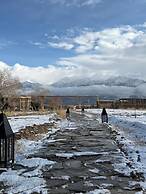The Postcard in The Himalayan Willows