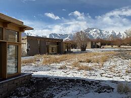 The Postcard in The Himalayan Willows