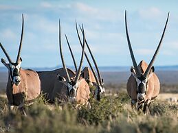 Mattanu Private Game Reserve