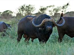 Mattanu Private Game Reserve