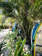 Surf Paradise
