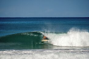 Surf Paradise