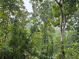 Nildiya Cottages