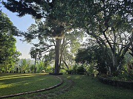 Nildiya Cottages