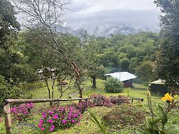 Green Bamboo Lodge