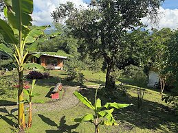 Green Bamboo Lodge