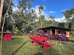 Green Bamboo Lodge