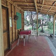 Wasi Center