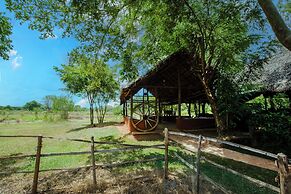 Kassapa Lion Rock