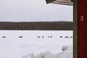 Camp Alta Kiruna