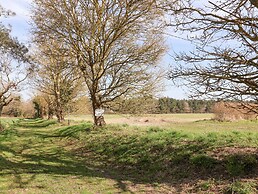 Bradley's Barn