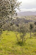 Casale Oleo