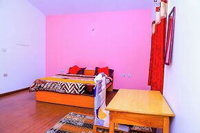 VIBE INN KODAI