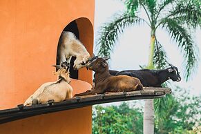 Niran Farm