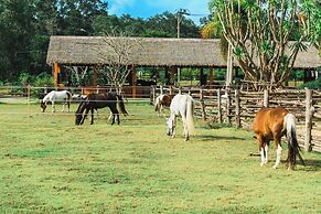 Niran Farm