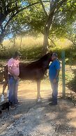 Finca Brisas de la Montaña