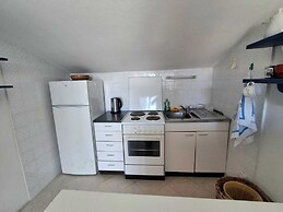 Apartments Andjus