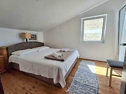 Apartments Andjus
